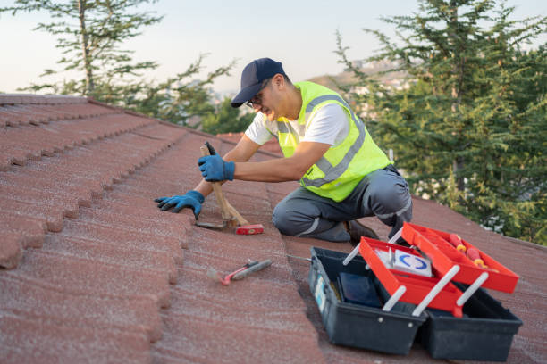 Best Roof Replacement Cost  in Robins, IA