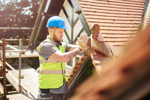 Best Metal Roofing Contractor  in Robins, IA