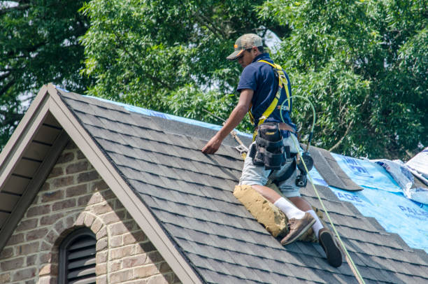 Roof Installation Near Me in Robins, IA